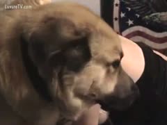 Animal sex loving wench captured fucking a dog on movie scene by her hubby